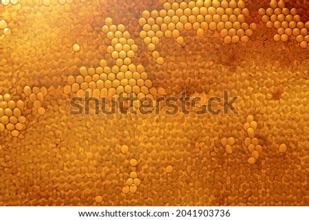 Bee honeycomb with honey, yellow honeycomb wax background. The concept of beekeeping 