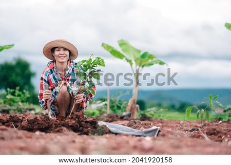 Women gardener planting rose apple tree on blured nature background in rural or countryside