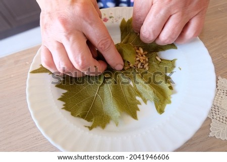 Process of making stuffed Graped leaves with olive oil, selective focus. It is called "Yaprak Sarma", or "Dolma", "Salamura Yaprak" in Turkish. It is prepared with ground beef, rice and tomato paste.