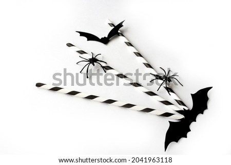 Hallowne. Bat and spiders. Halloween decor elements on white background. Decor concept for the autumn holiday. Flat layout. Selective focus.