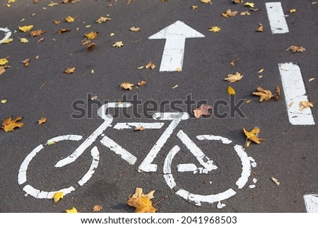 A bicycle path with a bicycle road sign and markings drawn on the asphalt. The autumn track in the park is strewn with dry yellow maple leaves. Cycling in autumn, traffic rules