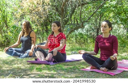 group of people doing yoga exercise in the park, womans relaxing in the park