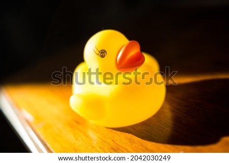 Yellow Rubber Duck in Sunlight coming through a Window