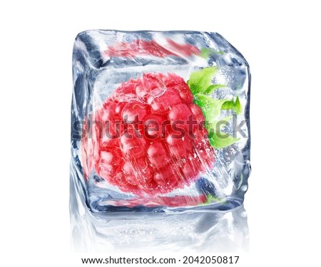 Raspberry in ice cube isolated on white background with clipping path.