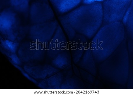 blurry blue color abstract line background image. natural defocus backdrop.