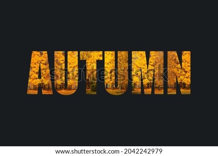 Autumn text with a design element of colored bright trees with colorful yellow-orange foliage. Fall concept on a dark background