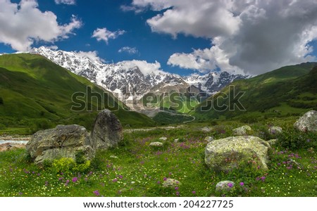 Rocks in the meadow in Svaneti mountains in Georgia