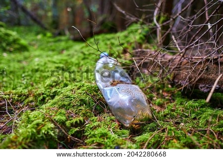 A carelessly throw away plastic water bottle nestled in the moss on a forest path. Plastic trash in the forest. Tucked nature. Season of autumn. World ecology problem. Royalty-Free Stock Photo #2042280668