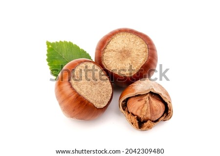 Hazelnuts (Corylus avellana, cobnut, filbert) with hazel leaves on white background. Royalty-Free Stock Photo #2042309480