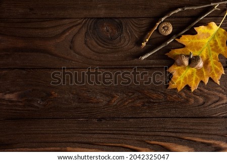 Autumn. Colored fallen leaves, acorns on a wooden brown background, framing, layout, copy space