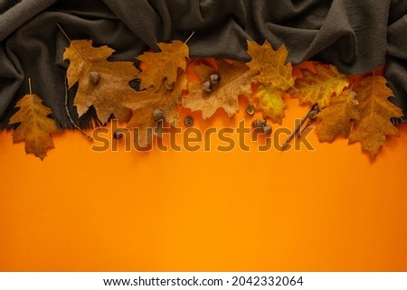 Autumn. Autumn frame of fallen leaves on a bright orange background. Banner.