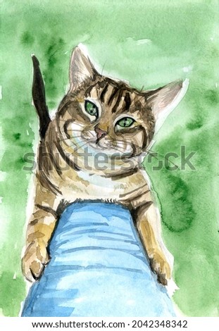 Animals cover for notebook cute pet illustration sweety print textile green tabby kittens hand drawn watercolor brown kitten kids poster