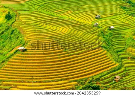 Rice Terrace, a unique Agriculture of a Highlander