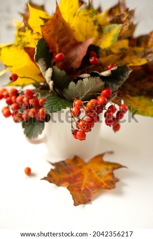 Still life. Autumn bouquet of bright fallen leaves and red rowan in a white cup on a wooden background. Vertical photo