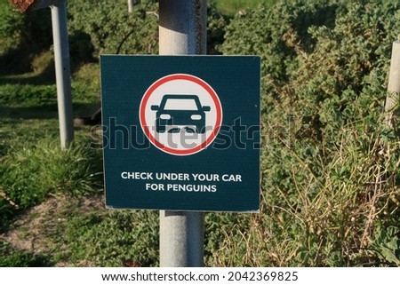 Funny warning road sign saying to check under your car for penguins in parking area near Boulders Beach, Cape Peninsula, Cape Town, South Africa