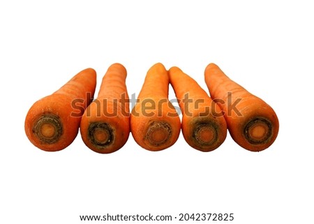 carrot spring food vegetables. Fresh big orange carrot texture background. Carrot Root Vegetable Product Pictures