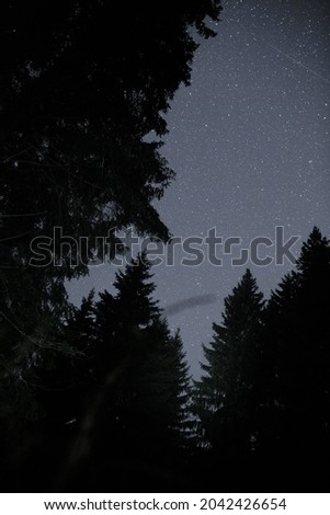 starry sky over the forest.