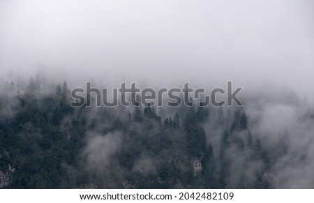 a mountain panorama full of clouds, a bad mountain day with dense clouds above the forest
