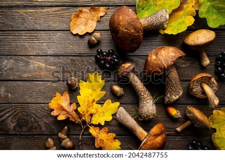 Boletus mushrooms with autumn oak leaves over wooden background. Top view autumn background