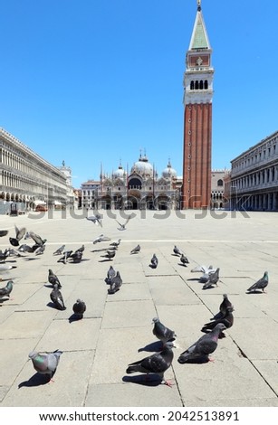 Square of Saint Mark with rock pigeons without tourist during lockdown in Italy