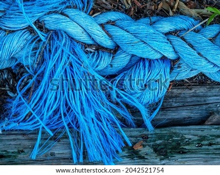Frayed end of light blue nautical rope repurposed as a minor landscaping element, for motifs of wear and tear Royalty-Free Stock Photo #2042521754