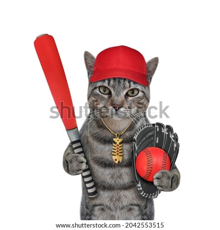 A gray cat baseball player in a cap holds a red bat, a ball and a glove. White background. Isolated.