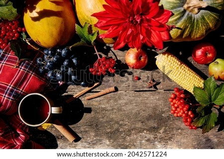 Rustic cozy still life with grapes, viburnum, corn, pumpkin melon, apples and red dahlias. Cozy home with warm cup of tea. Thanksgiving Day concept. Autumn aesthetic concept. High quality photo