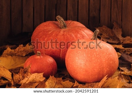 three pumpkins of a different size on maple leaves as a decoration