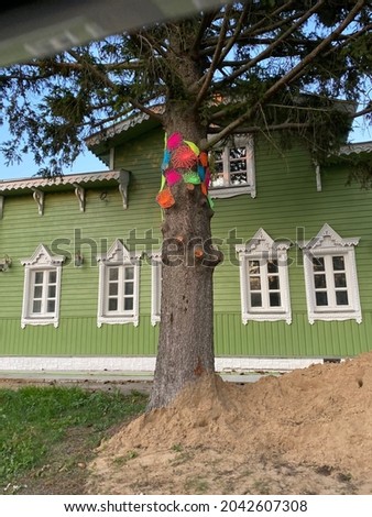 the facade of a wooden house on a country plot