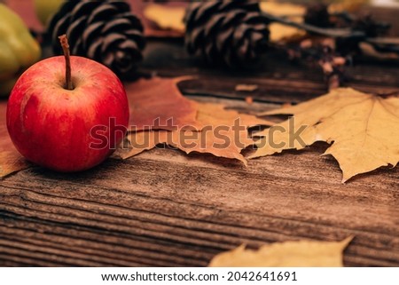 Frame of red apples, quince, colorful maple leaves and cones on a dark wooden background.Harvest concept.Concept of Thanksgiving day. Autumn flat lay,copy space,top view,selective focus