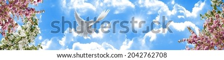 panoramic sky with sun among fluffy clouds. cherry blossoms and bird flying towards the sun