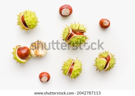 Chestnuts fruits on a white background. Ripe chestnuts. Cracked chestnuts.  Royalty-Free Stock Photo #2042787113