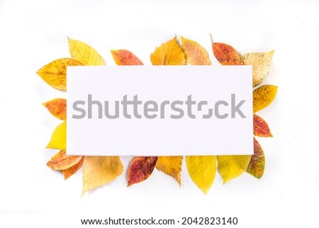  Autumn frame composition, with colorful red yellow fall leaves on white background. Thanksgiving holiday greeting card concept. Flatlay, top view, copy space 