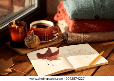 season and objects concept - open sketchbook with drawing of autumn leaf, cup of coffee, wool sweaters and pumpkin on wooden window sill at home