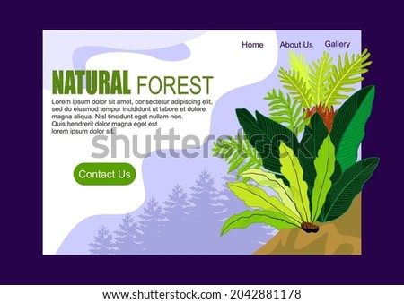 tropical rain forest vector illustration 