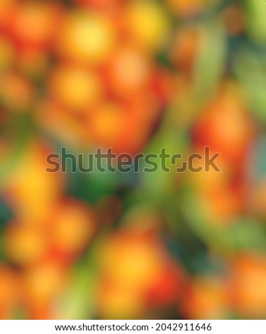 orange fruit, green leaf, blurred textures 
