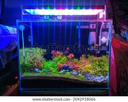 aquascape fish tank decoration size 40cm x 30cm x 30cm
