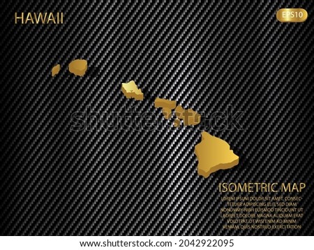 isometric map gold of Hawaii on carbon kevlar texture pattern tech sports innovation concept background. for website, infographic, banner vector illustration EPS10
