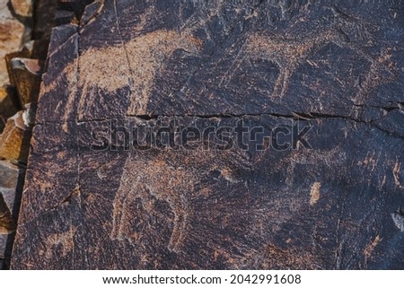 Ancient cave paintings on rocks. Bronze Age, Iron Age and Middle Age rock art. Tanbaly tas petroglyphs in Kazakhstan. UNESCO World Heritage. Tourism, travel in Kazakhstan concept.