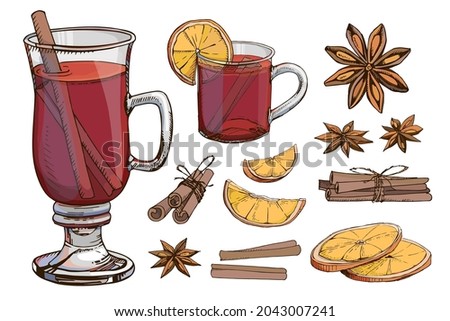 Mulled wine clipart vector set. Hot winter drinks. Christmas beverage. Popular drink for autumn fall new year holidays. Isolated illustrations. Anise star cinnamon