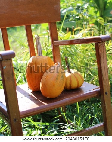 Pumpkin and gourds on chair.