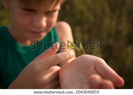 The child holds the praying mantis in the palm of his hand. Nice summer picture. Warm rays of the setting sun. Child nerd. The girl examines the insect. The boy is interested in wildlife