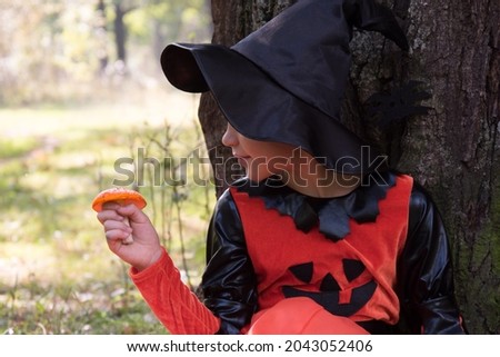 Portrait of a witch. A girl dressed as a witch holds an amanita in her hand. A mushroom for a witch's potion. Beautiful stylish picture in the forest