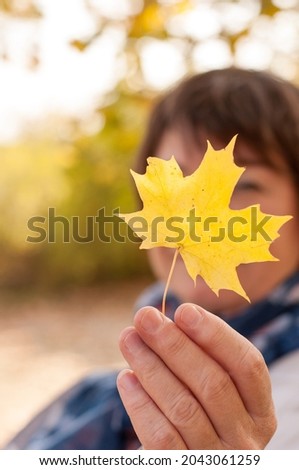 a woman holds a yellow maple leaf in her hand on a blurry background, blocking her face in a vertical format