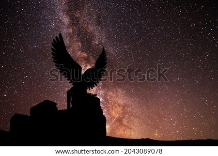 Eagles silhouette statue, on the milky way galaxy background. Beautiful starry night. Space background.