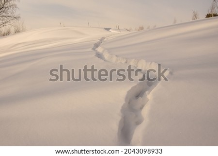 Partially observable animal trail in deep snow covering the slopes of the ravine