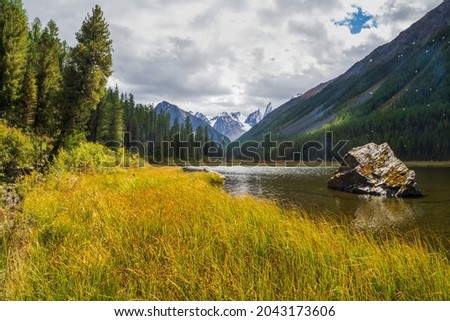 Unusual beautiful lake in highland valley and river along high mountain. Swampy backwater of mountain lake with stones. Yellow atmospheric natural background of highlands.