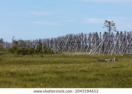 A permanent snow fence, wind protection along a rural highway. Stands all year round in the Nordic highlands.
