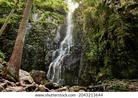 Burgbach Waterfall in coniferous forest falls over granite rocks into the valley near Bad Rippoldsau-Schapbach, Black Forest, Germany. Royalty-Free Stock Photo #2043213644
