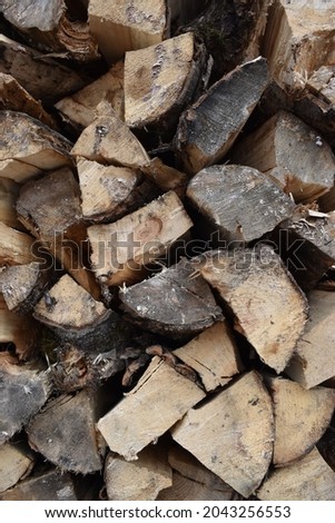 Firewood prepared for the winter, stacked